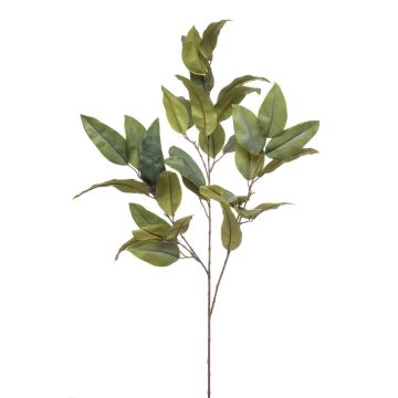 Umělá větev eukalyptu BELUNI, zelená, 125cm