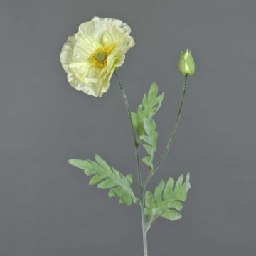 Textilní květina vlčí mák LISSIE, krémová, 70cm, Ø12cm
