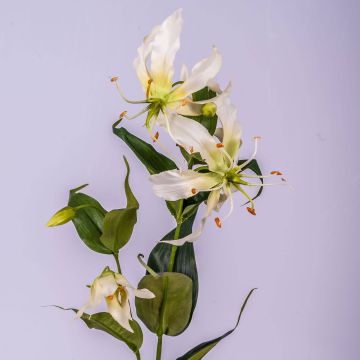 Umělá květina glorióza FUJITA, krémovo-zelená, 80cm, Ø15cm