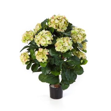 Umělá květina hortenzie HARUKA na stonku, zelená, 60cm, Ø9-16cm