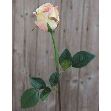 Umělá růže SAPINA, žluto-růžová, 60cm, Ø6cm