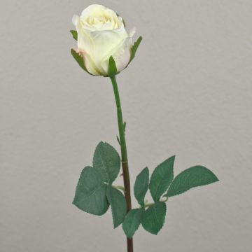 Umělá růže SAPINA, krémová meruňka, 60cm, Ø6cm