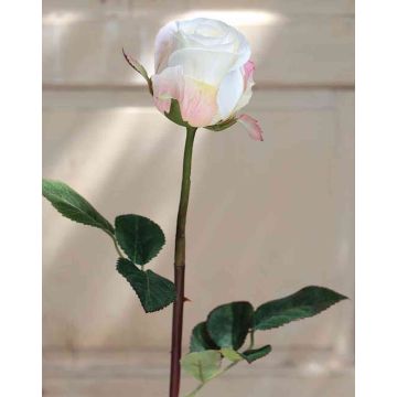 Umělá růže SAPINA, krémová meruňka, 60cm, Ø6cm
