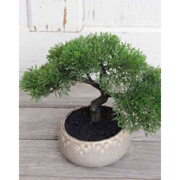 Umělá bonsaj cedr ALDAVINUR s kořeny v keramické misce, 21cm