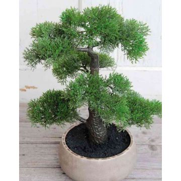 Umělá bonsai cedr ALDAVINUR v keramické misce, 45cm