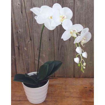 Umělá orchidej phalaenopsis SAHRA, dekorační květináč, bílá, 70cm