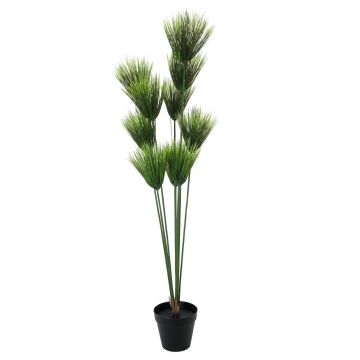 Umělá rostlina papyrus BANOU, zelená, 150cm