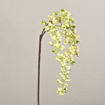 Umělá větvička bezu SWANTJE, plody, krémově zelená, 40cm