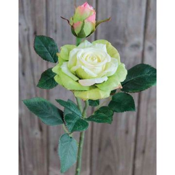 Umělá růže SINJE, krémově zelená, 35cm, Ø9cm