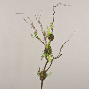 Plastová větev vrby kroucené RODRIK, mech, kapradí, hnědozelená, 80cm