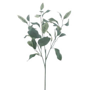Umělá eukalyptová větev MALEEN, Eco Collection, zelená, 75cm