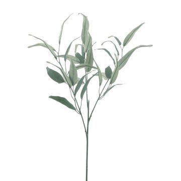 Dekorativní eukalyptová větev MALWINE, Eco Collection, zelená, 75cm