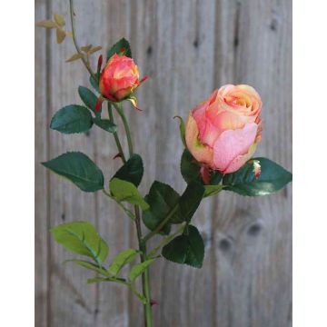 Umělá růže CARUSA, růžovo-meruňková, 80cm, Ø8cm