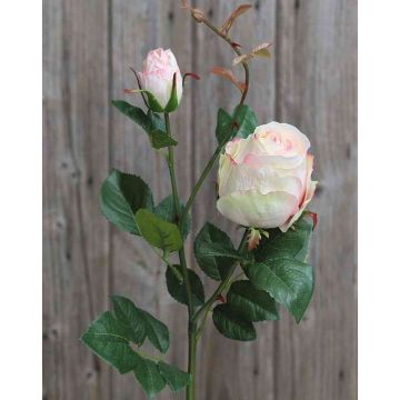 Umělá růže CARUSA, růžovo-krémová, 80cm, Ø8cm