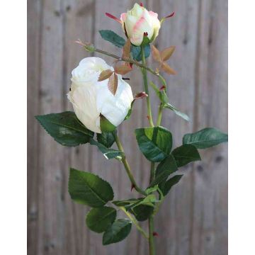 Umělá růže CARUSA, krémově bílá, 80cm, Ø8cm