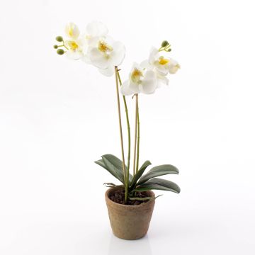 Umělá orchidej phalaenopsis MINA v terakotovém květináči, bílá, 45cm