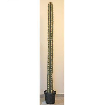 Umělý pachycereus pringlei SALVADOR, zelená, 205cm