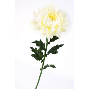 Umělá chryzantéma KESARA, krémová, 65cm, Ø16cm