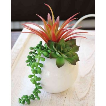 Umělý sukulent AMIGO v keramickém květináči, zeleno-červený, 18cm, Ø13cm