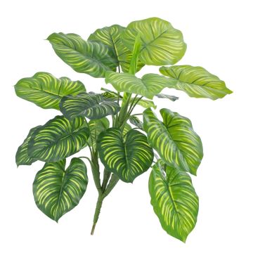 Umělá calathea orbifolia ULANI na zápichu, zelená, 45cm