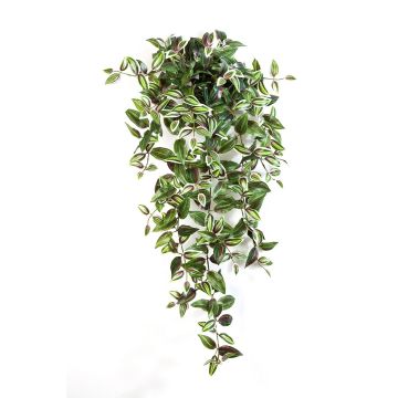 Umělá tradescantia zebrina PANCHO, na zápichu, zeleno-fialová, 95cm
