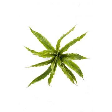 Umělá rostlina sleziník ptačí hnízdo FRANNY, zelená, 30cm, Ø30cm