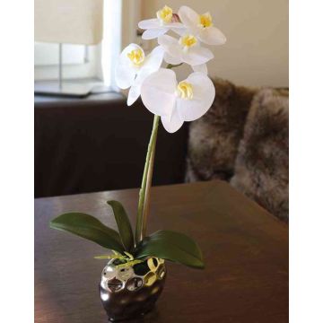 Umělecká orchidej Phalaenopsis EMILIA, keramický hrnec, bílý, 45cm