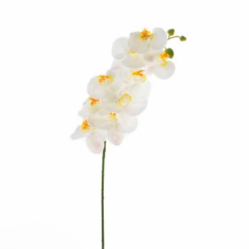 Umělá větvička orchideje phalaenopsis OPHELIA, bílá, 100cm