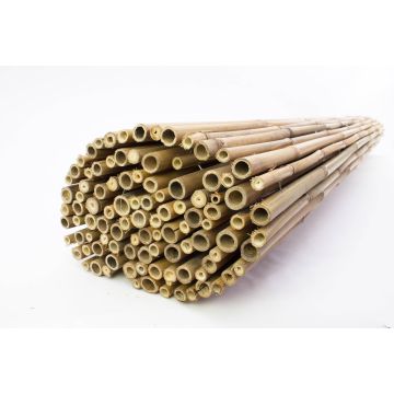 Bambusová podložka JONAH vyrobená z bambusových trubek, přírodní barva, 200cmx180cm