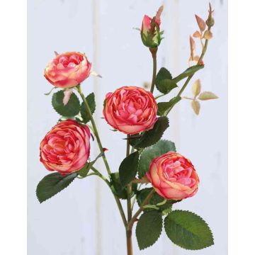 Textilní květina růže stolistá SABSE, růžovo-meruňková, 55cm, Ø4-5cm