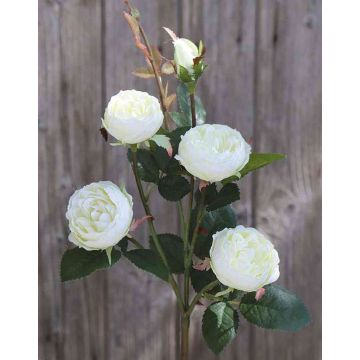 Textilní květina růže stolistá SABSE, krémově bílá, 55cm, Ø4-5cm