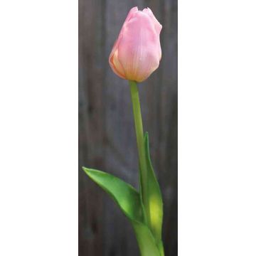 Plastový tulipán LONA, růžový, 45cm, Ø4cm