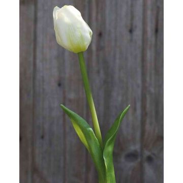 Plastový tulipán LONA, bílo-zelený, 45cm, Ø4cm