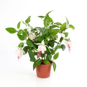 Umělá fuchsie THAYNARA, s květy, jemná růžová, 30cm