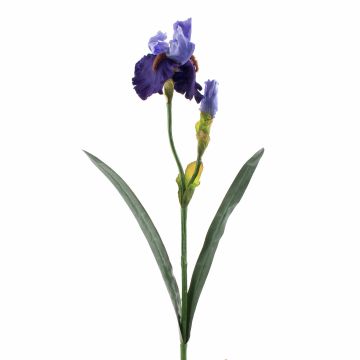 Umělá rostlina kosatec ALYSSA, modrá, 70cm, Ø13cm