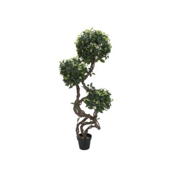 Umělý strom fíkovník drobnolistý MIYU, přírodní kmeny, zelená, 160cm