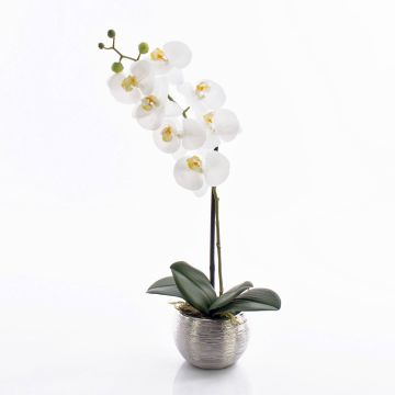 Umělá orchidej phalaenopsis EMILIA, v dekoračním květináči, bílá, 50cm