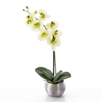 Umělá orchidej phalaenopsis EMILIA, v dekoračním květináči, krémovo-zelená, 50cm