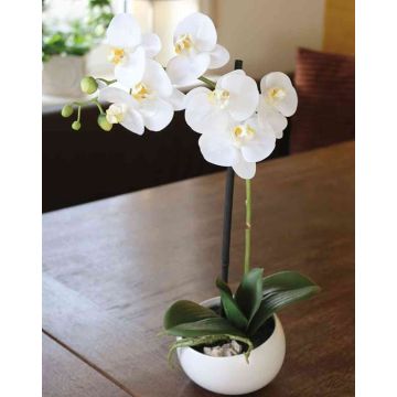 Umělá orchidej Phalaenopsis KAYLA, keramický květináč, bílá, 45cm