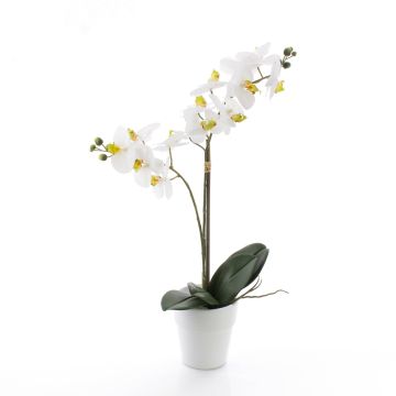 Umělá orchidej phalaenopsis CANDIDA v keramickém květináči, bílá, 65cm