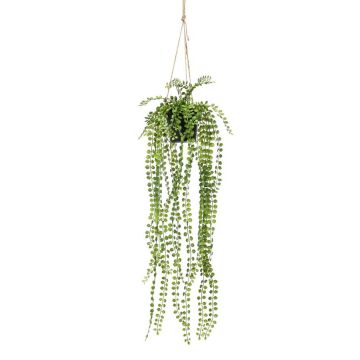 Umělý fíkus plazivý PANJA v dekoračním květináči, zelená, 60cm