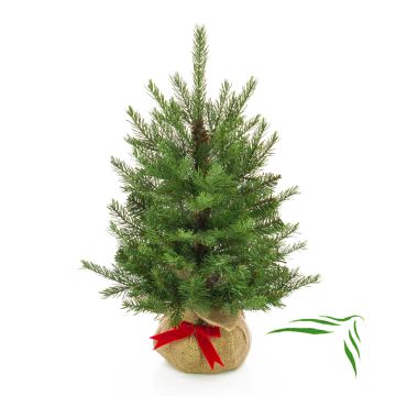 Umělý vánoční stromek WELLINGTON, jutový pytel, 60cm, Ø50cm