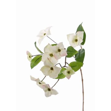 Umělá větvička japonského dřínu KOHANA, s květy, krémová, 70cm