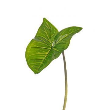 Umělá rostlina syngonium JORDAN, zelená, 50cm