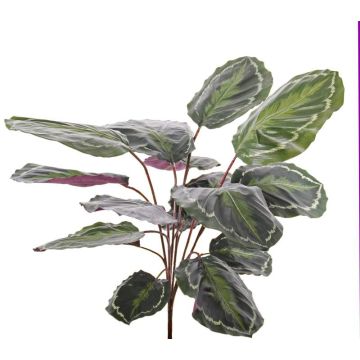 Umělá rostlina calathea medaillon BRIHANNA na zápichu, zelená, 75cm