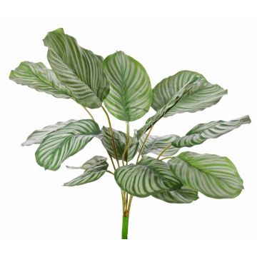 Umělá calathea orbifolia ZAIDA na zápichu, zelená, 75cm