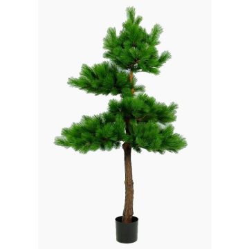 Umělý strom pínie SIXTEN, skutečný kmen, zelená, 215cm