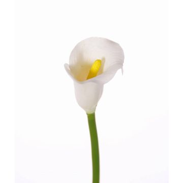 Umělá květina kornoutovka CHIDORA, bílá, 55cm, 5x6cm