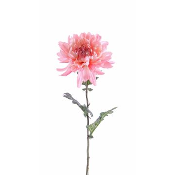Textilní květina chryzantéma AMANDI, růžová, 75cm, Ø15cm