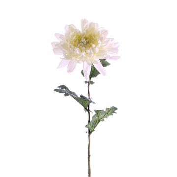 Textilní květina chryzantéma AMANDI, bílá, 75cm, Ø15cm
